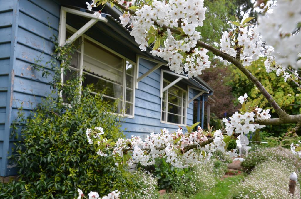 Summerhill Farm B&B Main Ridge Exterior photo